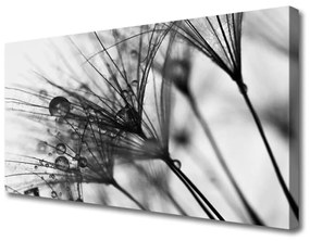 Obraz na plátne Abstrakcie rastlina 100x50 cm