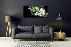 Obraz na skle Kvet kamene lístie 125x50 cm