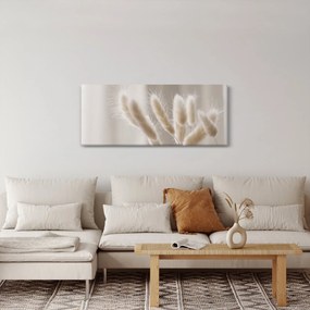 Obraz - Zajačie chvostíky (120x50 cm)