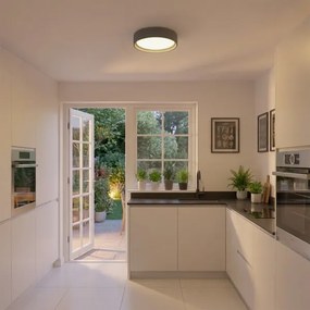 BRILAGI - LED stropné svietidlo LUCIA LED/24W/230V priemer 31 cm sivá