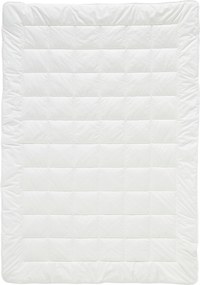 XXXLutz LETNÁ PRIKRÝVKA, 135/200 cm, polyester, duté vlákno Billerbeck - Prikrývky & vankúše - 003279010401