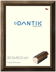DANTIK rám na obraz 30x40 | Forgia Bronzea (Plexi Čiré)