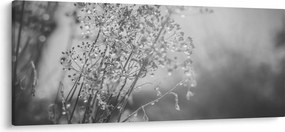 Obraz - Lúka po daždi (120x50 cm)