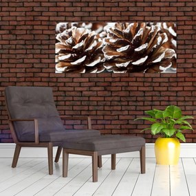 Obraz - Šišky (120x50 cm)