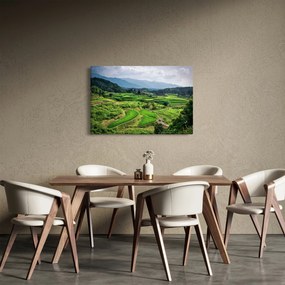 Obraz ryžových polí (90x60 cm)