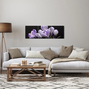 Obraz - Fialové krókusy (s hodinami) (90x30 cm)