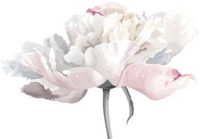 Fototapeta - Kvet ruže (147x102 cm)