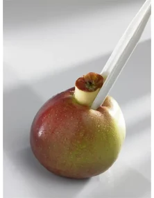 Börner kombinovaná škrabka Farba: Čierna
