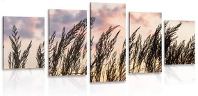 5-dielny obraz tráva pri zapadajúcom slnku
