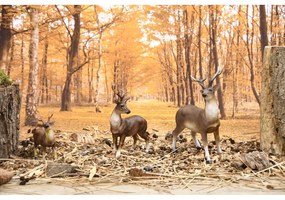 Polyresínová záhradná soška Deer – Esschert Design