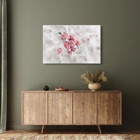 Obraz - Zamrznuté plody (90x60 cm)