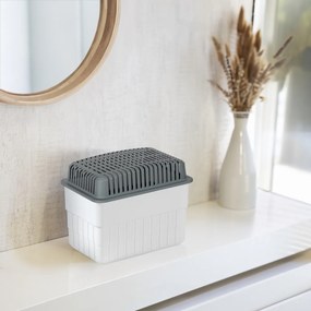 Wenko Odvlhčovač vzduchu do 80 m³ s náhradnou náplňou, 2 x 1 kg, sivá