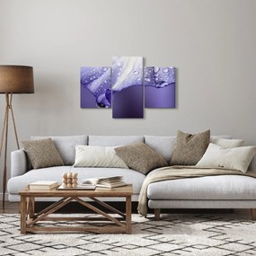 Obraz - Okvetný lístok s kvapkami (90x60 cm)
