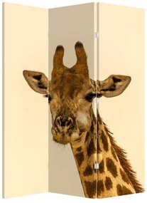 Paraván - Žirafa (126x170 cm)