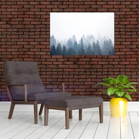 Obraz - Zahmlený les (90x60 cm)