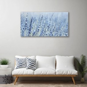 Obraz Canvas Kvety klasy lúka príroda 125x50 cm
