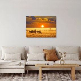 Obraz - Zebry so západom slnka (70x50 cm)