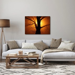 Obraz stromu pri západe slnka (70x50 cm)