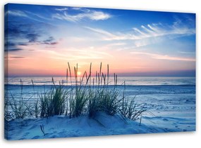 Gario Obraz na plátne Trávy na pláži Rozmery: 60 x 40 cm