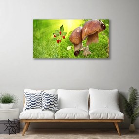 Obraz na plátne Huby divoké jahody 120x60 cm