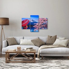 Obraz - Výhľad na vrchol, Japonsko (90x60 cm)
