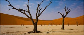 Obraz - Údolie smrti (120x50 cm)