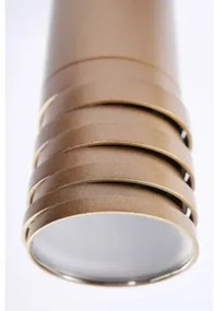 Moderné stropné svietidlo Locus champagne