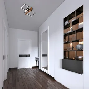 Obdĺžnikové stropné LED svietidlo 2 rámy čierne/drevo FRAME 50,5 cm