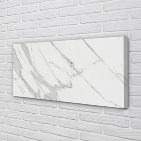 Obraz canvas Marble kameň škvrny 125x50 cm
