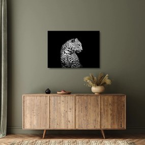 Sklenený obraz - Leopard (70x50 cm)
