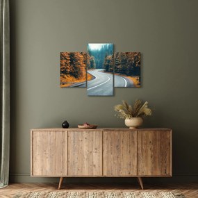 Obraz - Kľukatá cesta (90x60 cm)