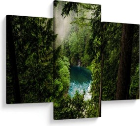 Obraz - Priezor medzi stromami (90x60 cm)