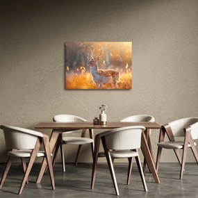 Obraz - Jeleň v poli (70x50 cm)