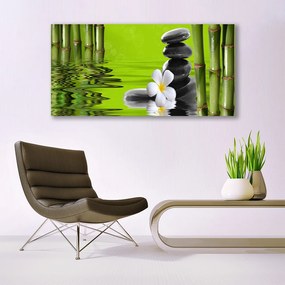 Obraz na akrylátovom skle Bambus kamene rastlina 120x60 cm