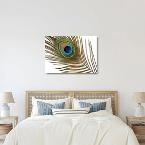 Sklenený obraz pávieho peria (70x50 cm)