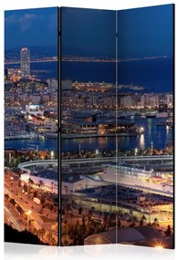 Artgeist Paraván - Illuminated Barcelona [Room Dividers]
