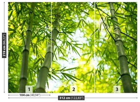 Fototapeta Vliesová Bambusové vetvy 208x146 cm