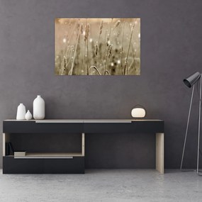 Obraz - Harmonická lúka (90x60 cm)