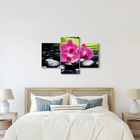 Obraz - Ružové orchidey s palmovým listom (90x60 cm)