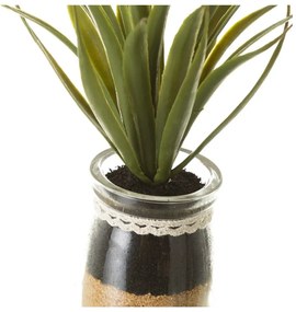 Umelé rastliny v súprave 4 ks (výška 18 cm) Cactus – Casa Selección