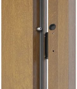 Kovové vchodové dvere P68 Artemida 90 Ľ dub zlatý