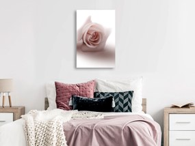 Artgeist Obraz - Rose Shadow (1 Part) Vertical Veľkosť: 40x60, Verzia: Na talianskom plátne