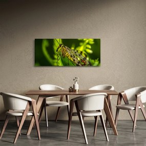 Obraz hmyzu (120x50 cm)