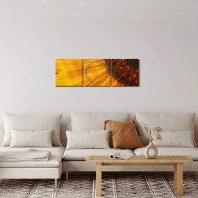 Obraz - Slnečnica (s hodinami) (90x30 cm)