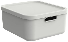 Rotho Úložný box, rovný s víkem, 20l, matně bílá ALBU LIGHT, 40x36x18