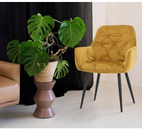 GARDEN LINE Zamatové kreslo GardenLine Farba: bežová