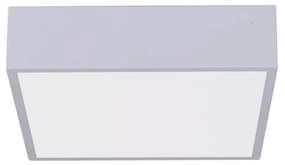 Immax NEO 07238L - LED Stmievateľné stropné svietidlo CANTO 22W/230V biela Tuya +DO