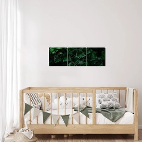 Obraz - Tropické papradie (s hodinami) (90x30 cm)