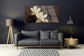 Obraz plexi Kvety vanilky do kuchyne 120x60 cm