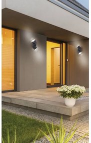 Paul Neuhaus 9722-13 - LED Vonkajšie nástenné svietidlo RYAN 2xLED/5W/230V IP54